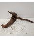Driftwood para acuario 545 | Maderas para acuario | Acuario Plantado
