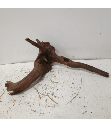 Driftwood para acuario 545 | Maderas para acuario | Acuario Plantado