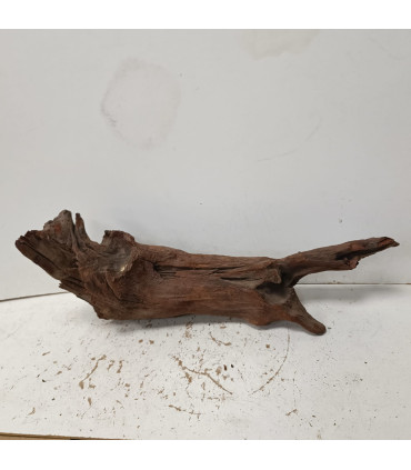 Driftwood para aquário 547 | Madeiras para aquário | Acuario Plantado