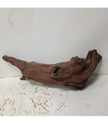 Driftwood para aquário 547 | Madeiras para aquário | Acuario Plantado