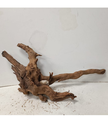Driftwood para acuario 548 | Maderas para acuario | Acuario Plantado