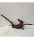 Driftwood para acuario 549 | Maderas para acuario | Acuario Plantado