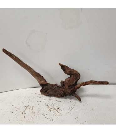 Driftwood para acuario 549 | Maderas para acuario | Acuario Plantado