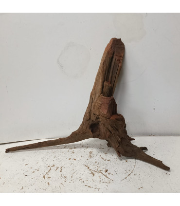 Driftwood para acuario 550 | Maderas para acuario | Acuario Plantado