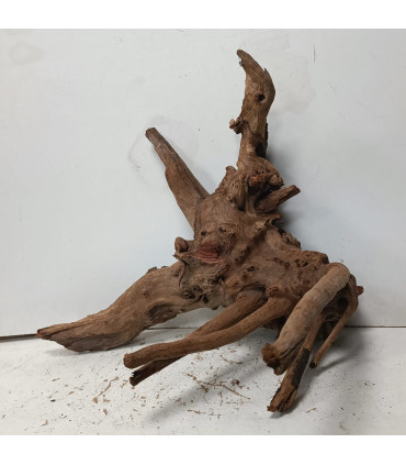 Driftwood para aquário 551 | Madeiras para aquário | Acuario Plantado