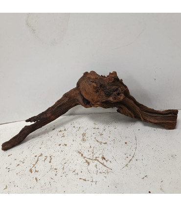 Driftwood para acuario 552 | Maderas para acuario | Acuario Plantado