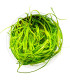 Juncus repens 1-2-Grow | Planta natural para aquário