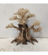 Bonsai para acuario 323 | Maderas para acuario | Acuario Plantado