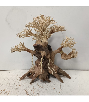 Bonsai para acuario 323 | Maderas para acuario | Acuario Plantado