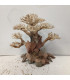 Bonsai para acuario 323 | Maderas para acuario | Acuario Plantado