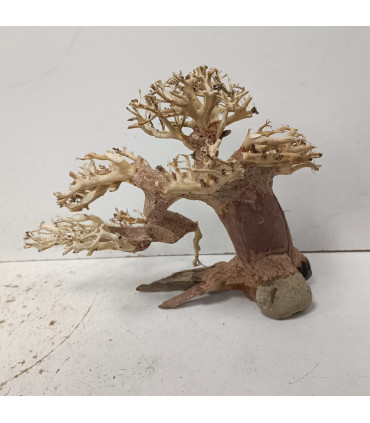 Bonsai para acuario 324 | Maderas para acuario | Acuario Plantado