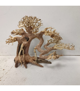 Bonsai para acuario 324 | Maderas para acuario | Acuario Plantado
