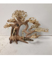 Bonsai talla M - Nº324