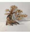 Bonsai talla M - Nº325