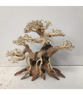 Bonsai tamanho M - Nº326