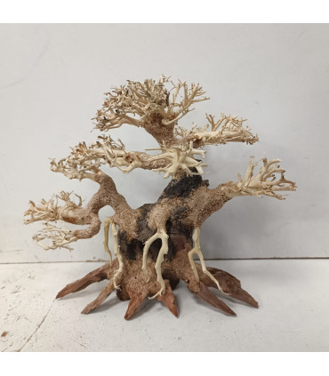 Bonsai para acuario 326 | Maderas para acuario | Acuario Plantado
