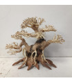 Bonsai talla M - Nº326