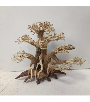 Bonsai para acuario 327 | Maderas para acuario | Acuario Plantado