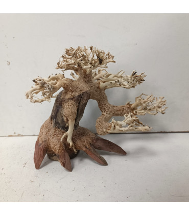 Bonsai para acuario 328 | Maderas para acuario | Acuario Plantado