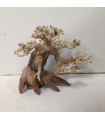 Bonsai tamanho S - Nº328