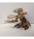 Bonsai para aquário 328 | Madeiras para aquário | Aquário Plantado
