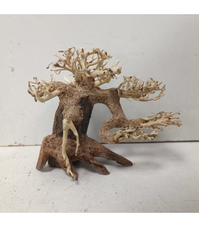 Bonsai para aquário 329 | Madeiras para aquário | Aquário Plantado