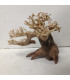 Bonsai para aquário 329 | Madeiras para aquário | Aquário Plantado