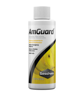 Seachem AmGuard | Controlo de Amónia para Aquário