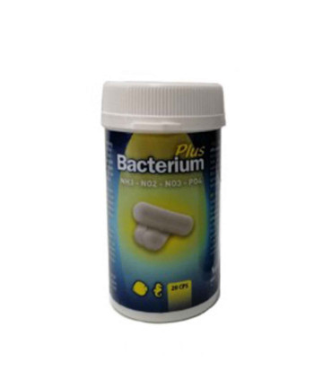 Bacterium E Plus Aquili | Bactérias para Aquário