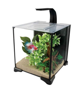 Fluval Betta Aquarium Kit 20L | Kit completo para peces betta
