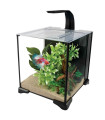 Fluval Betta Aquarium Kit 20L