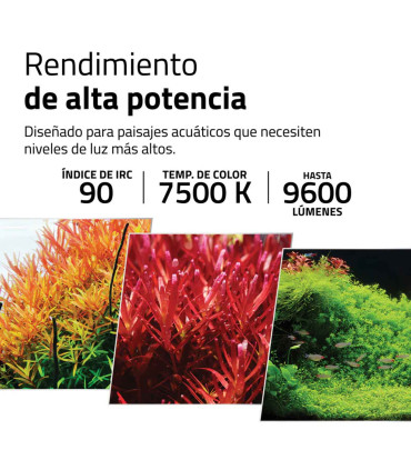 Meta título SEO ES: Fluval Plant Pro 4.0 LED | Pantalla potente para acuarios plantados