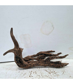 Driftwood para acuario 555 | Madera única para acuario | Acuario Plantado