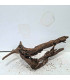 Driftwood para acuario 555 | Madera única para acuario | Acuario Plantado