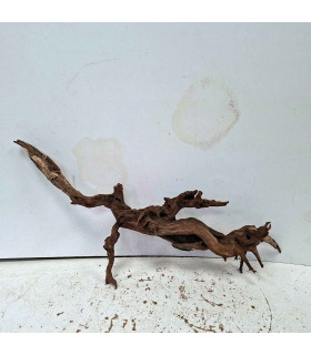 Driftwood para acuario 556 | Madera única para acuario | Acuario Plantado