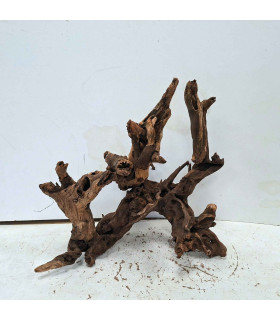 Driftwood para aquário 557 | Madeira unica para aquário | Acuario Plantado