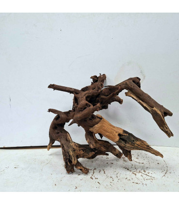 Driftwood para acuario 557 | Madera única para acuario | Acuario Plantado