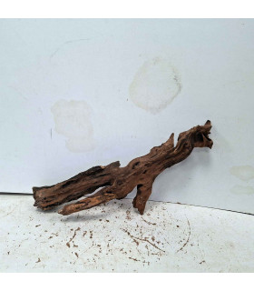 Driftwood para acuario 558 | Madera única para acuario | Acuario Plantado