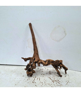 Driftwood para acuario 559 | Madera única para acuario | Acuario Plantado