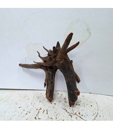 Driftwood para acuario 560 | Madera única para acuario | Acuario Plantado