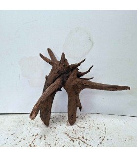 Driftwood para aquário 560 | Madeira unica para aquário | Acuario Plantado