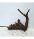 Driftwood para acuario 561 | Madera única para acuario | Acuario Plantado