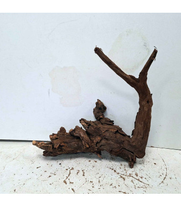 Driftwood para acuario 561 | Madera única para acuario | Acuario Plantado