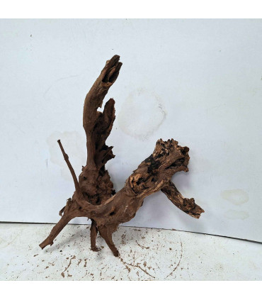 Driftwood para acuario 562 | Madera única para acuario | Acuario Plantado