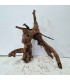 Driftwood para acuario 562 | Madera única para acuario | Acuario Plantado