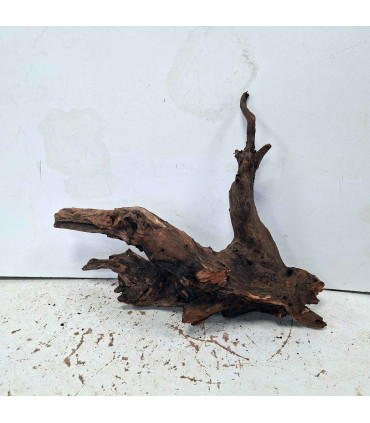Driftwood para acuario 563 | Madera única para acuario | Acuario Plantado