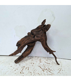 Driftwood para aquário 563 | Madeira unica para aquário | Acuario Plantado