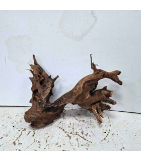 Driftwood para acuario 564 | Madera única para acuario | Acuario Plantado
