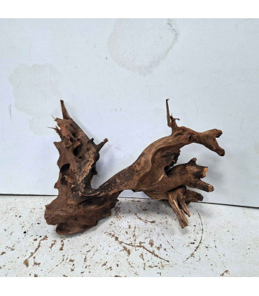 Driftwood para acuario 564 | Madera única para acuario | Acuario Plantado
