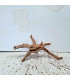 Slim Wood N125 para Acuario | Madera Natural Única